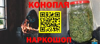 сатива Заволжье